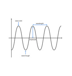 Parts Of A Wave Crest Trough Amplitude