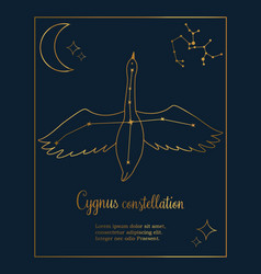 Constellation Cygnus Star In The Night Sky