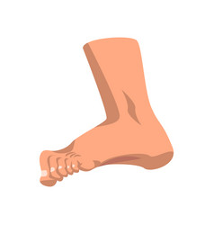 Human Foot Standing Side View