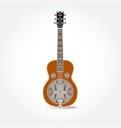 Resonator Guitar