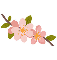 A Branch With Pink Flowers On A White Background