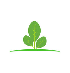 Moringa Leaf Logo Template