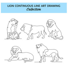 Set Of Lion Line Design Wildlife Decorative