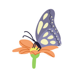 Hand Drawn Butterfly On Flower In Flat Style