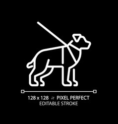 Guide Dog White Linear Icon For Dark Theme