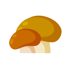 Boletus Edulis Mushroom With A Brown Cap