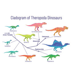 Cladogram Theropoda Dinosaurs Colorful