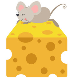 Little Mouse Sleeping On Top Of Cheese