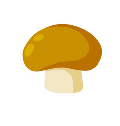 Boletus Edulis Eco-friendly Cep Food