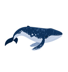 Whale Humpback Cartoon Vector Images (over 1,100)