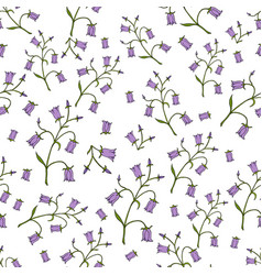 Bell-flowers campanula - hand drawn blue bell Vector Image