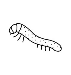 Pupa Cocoon Silkworm Line Icon