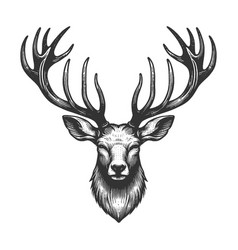 Stag With Antlers And Foliage Engraving