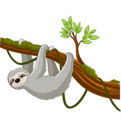 Cartoon Sloth Hanging On A Tree Branch