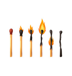 Burnt Match Stick With Fire Set Of Matchsticks