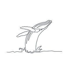 Breaching Humpback Whale Line Art