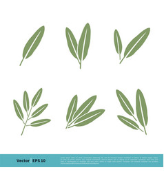 Sage Leaves Icon Logo Template Design Eps 10