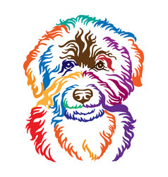 Barbet Dog Abstract Color Portrait