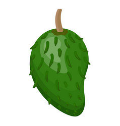 Whole Green Soursop Icon Cartoon Tropical