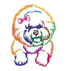 Bichon Frise Dog Abstract Color Portrait