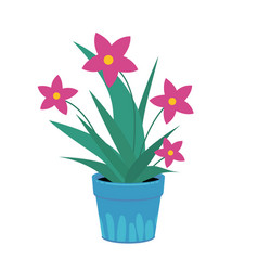 House Flower In Pot Isolated