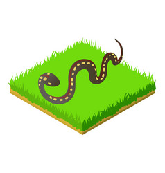 Desert Snake Icon Isometric Style