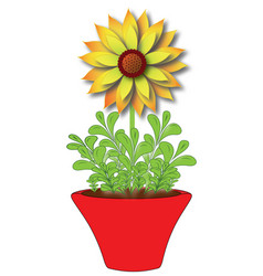 Sunflower In A Red Pot