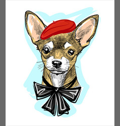 Fashionable Creative Dog In A Red Beret