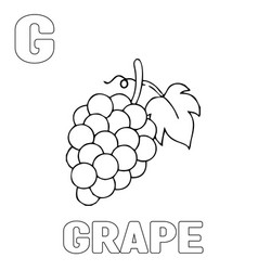 Coloring Page Grapes And Learning