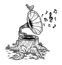 Tree Stump And Gramophone In Nature