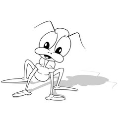 Drawing Of A Beetle With Long Legs And Big Eyes