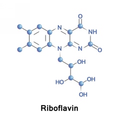 Riboflavin Vitamin B2