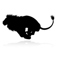 Silhouette Lion Animal