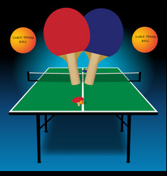 Table Tennis Set