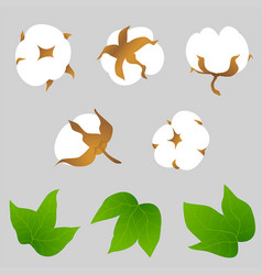 Set Cotton Plant Elements