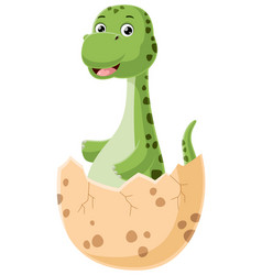 Cute Baby Brontosaurus Cartoon Hatching From Egg