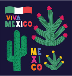 Viva Mexico Poster With Cactus