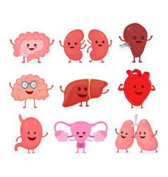 cute smiling happy human healthy strong organs set vector image