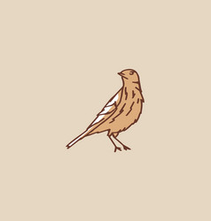 Hand Drawn Vintage Little Bird