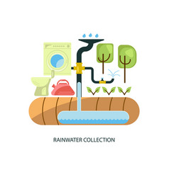 Rainwater Collection System