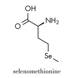 Selenomethionine Amino Acid Molecule Selenium