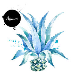 Watercolor Hand Drawn Agave Plant Painted Sketch