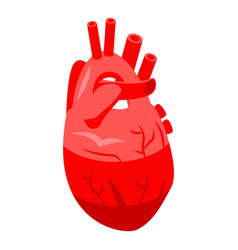 Red Human Heart Icon Isometric Style