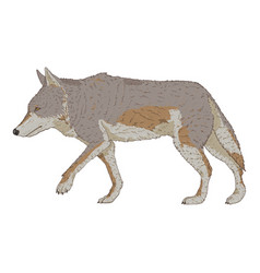 Wolf Walking Side View Cartoon