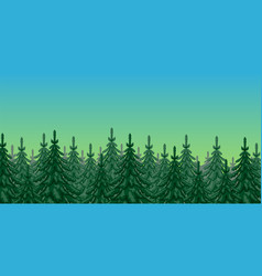 Spruce Forest Against Sky