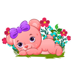 Cute Bear Lie Down Her Body On Grass