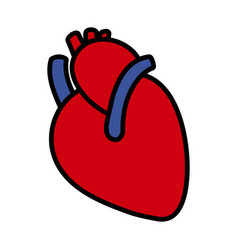 Human Heart Icon