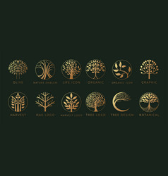 Tree Logo Icon Golden Plant Elements In Circle