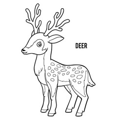 Coloring Book For Kids Deer