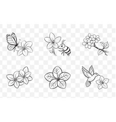 Print Elegant Plumeria Line Art Set